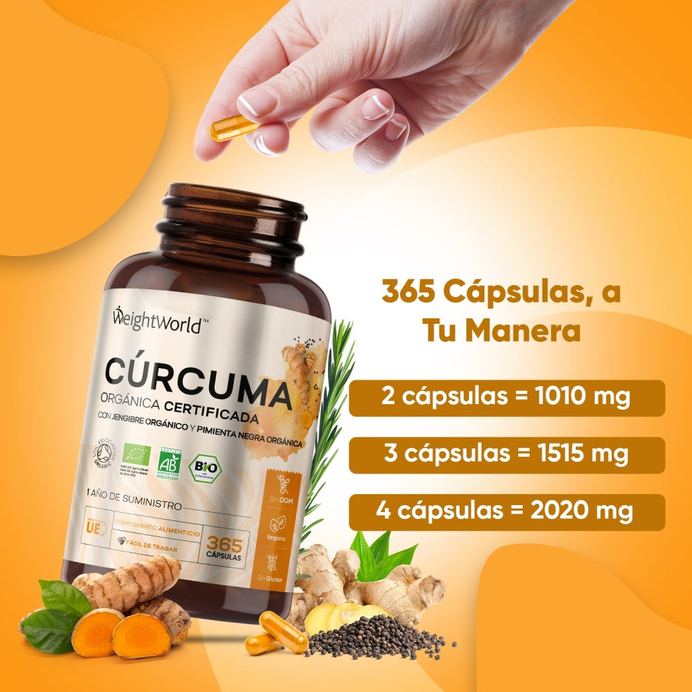Cúrcuma Orgânica com Pimenta Preta Orgânica e Gengibre Orgânico 505mg da WeightWorld (365 Cápsulas)