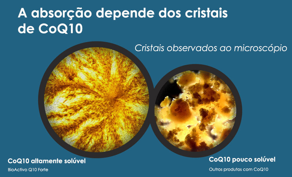 Coenzima Q10 - BioActivo Q10 Forte 100 mg da PharmaNord